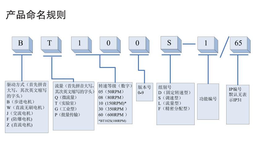 BT100L流量型智能蠕動泵產品命名規則.jpg BT100L流量型智能蠕動泵產品命名規則.jpg